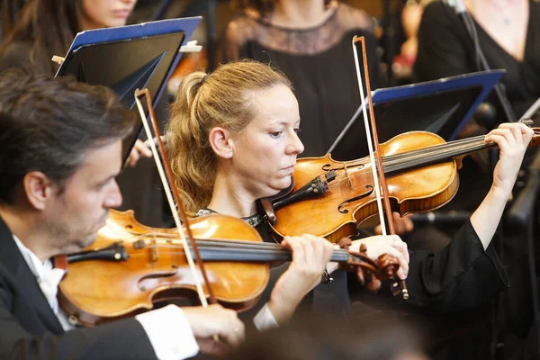Коруна Испания Музыканты Играющие Скрипке Время Концерта Галицкого Симфонического Оркестра — стоковое фото