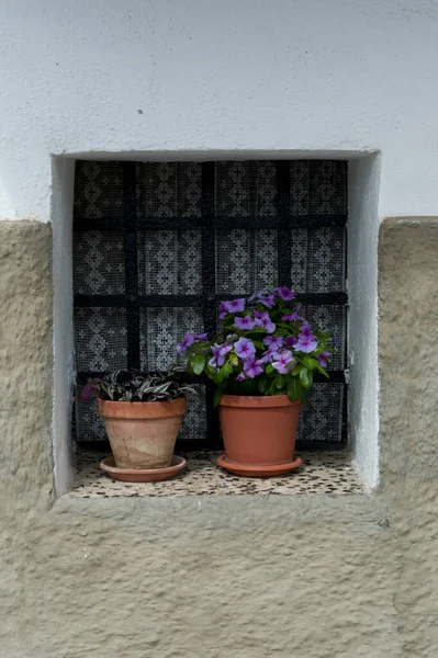 Flower Pots Window Village House — Stock Photo, Image