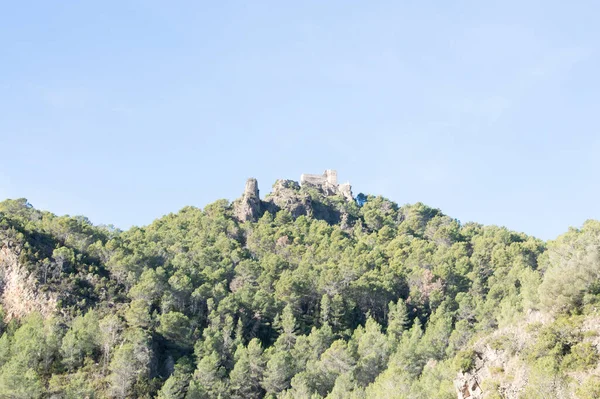 Blick Auf Die Alte Burgruine Auf Dem Berg — Stockfoto