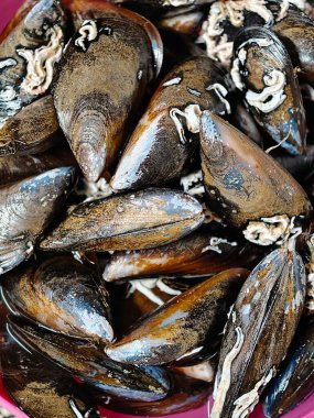 İşlenmemiş taze midyeler temiz suya batırılır, onları sağlıklı bir deniz ürünleri yemeği pişirmeye hazırlar, Almassora, İspanya 'da gastronomi için Akdeniz mutfağının ham malzemelerini gösterir.