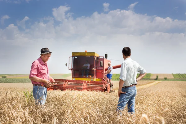 Boer en zakenman bij de oogst — Stockfoto