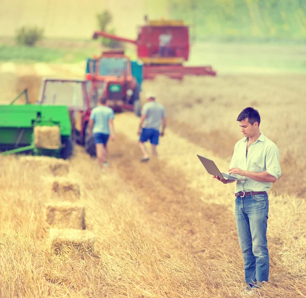 Businessman at harvest — Stock Photo, Image