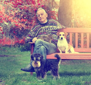 Komuta sizde Hayvanlar grubu