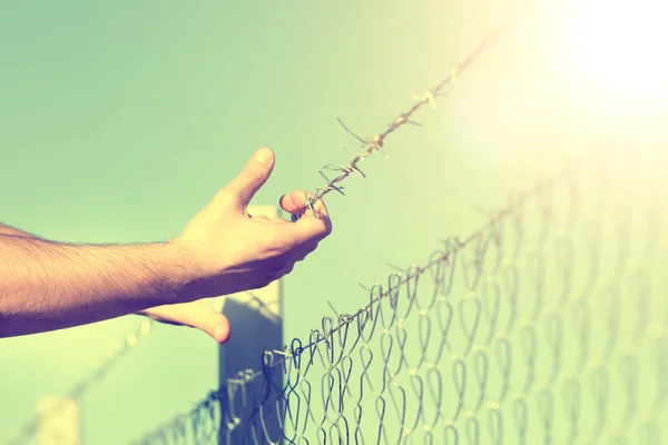 Male hands on barbed wire — Stock Photo, Image