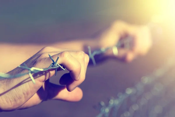 Male hands on barbed wire — Stock Photo, Image