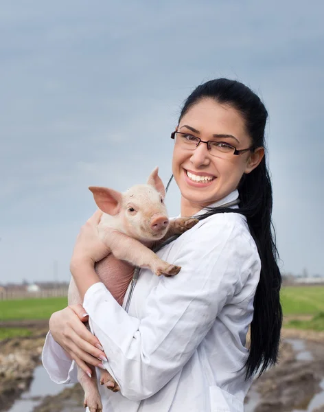 Veterinarian girl with piglet — Stock Photo, Image