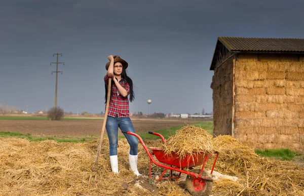 Tarım arazileri üzerinde oturan kadın — Stok fotoğraf
