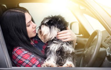 Kız arabada köpekle