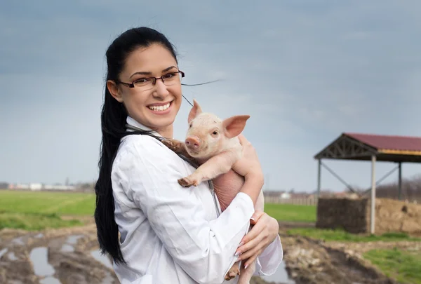 Menina veterinária com leitão — Fotografia de Stock