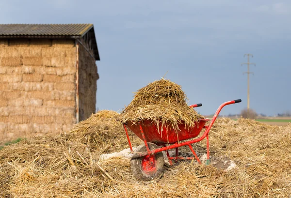 Weelbarrow with animal manure — Stock Photo, Image