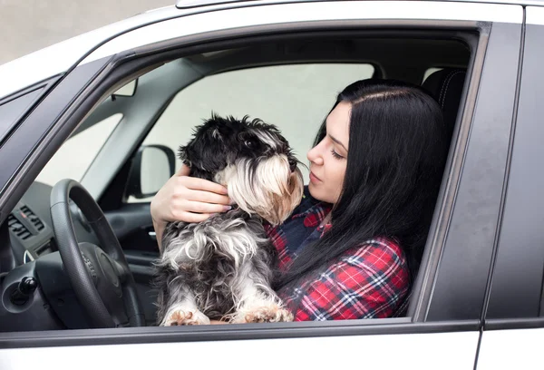 Gadis dengan anjing di dalam mobil — Stok Foto