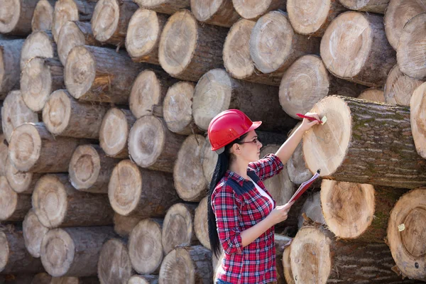 Ingeniera forestal junto a troncos — Foto de Stock