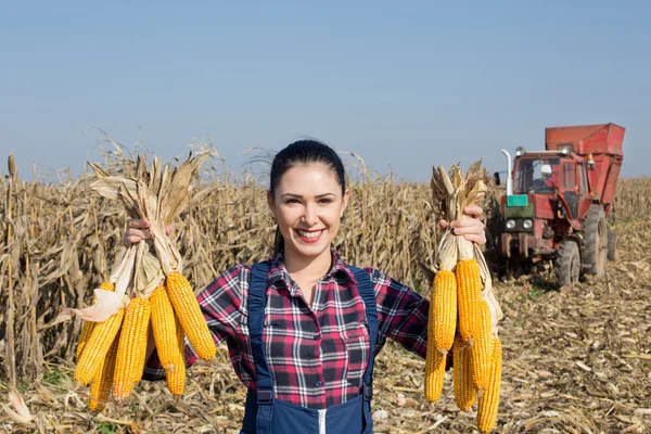 Menina agricultor com espigas de milho nas mãos — Fotografia de Stock