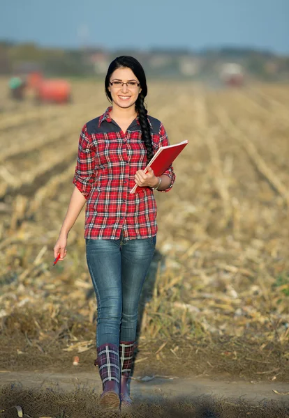 Farmer nő a mező — Stock Fotó