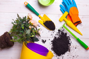 Bahçecilik aletleri ve yerdeki bitki