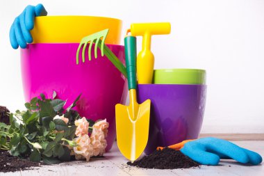 Bahçecilik aletleri ve yerdeki bitki