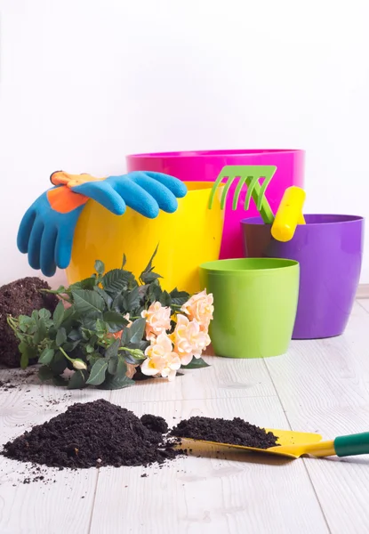 Herramientas de jardinería y planta en el suelo — Foto de Stock