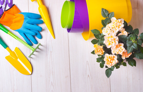 Садовые инструменты и растения на полу
