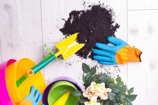 Herramientas de jardinería y planta en el suelo — Foto de Stock