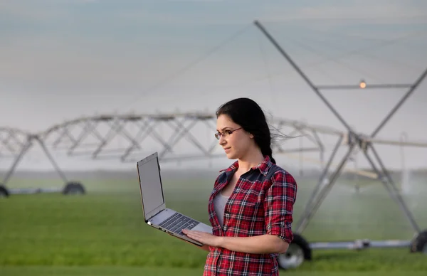 Kobieta z laptopa na nawadniane pola — Zdjęcie stockowe