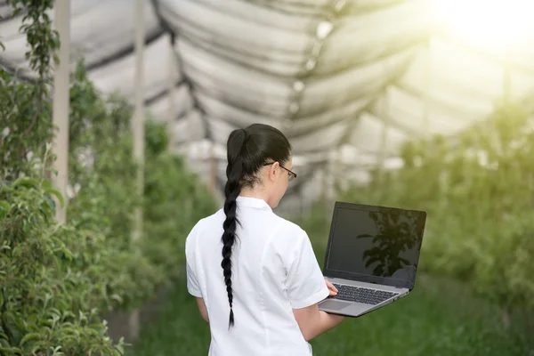 Kobieta z laptopa w jabłuszkowym Sadzie — Zdjęcie stockowe