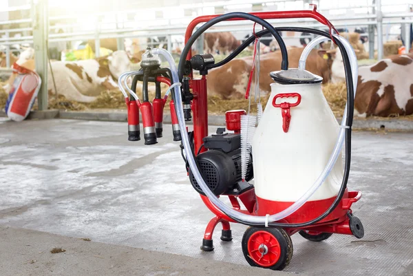 Melkmaschine vor Kühen — Stockfoto