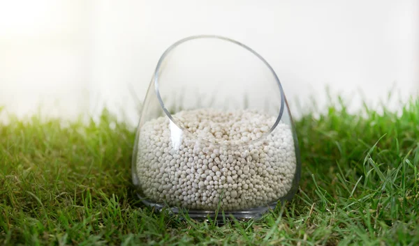 Mineral fertilizer on grass — Stock Photo, Image