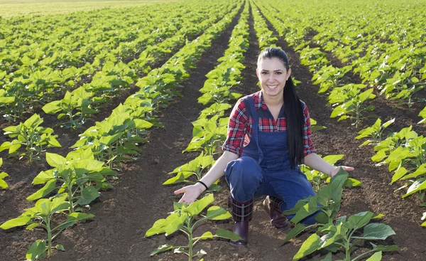 Ragazza contadina nel campo di girasole — Foto Stock