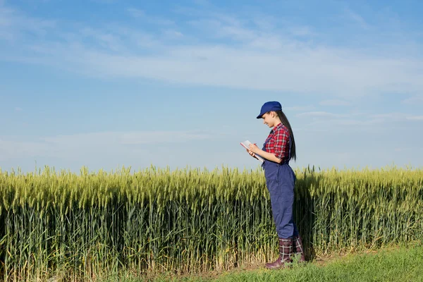 Chica agricultora en el campo de cebada —  Fotos de Stock