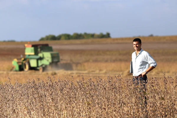 Agricultor en campo de soja con cosechadora —  Fotos de Stock