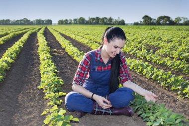 Çiftçi kız soya alanındaki