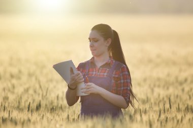 Buğday alanında çiftçi kız