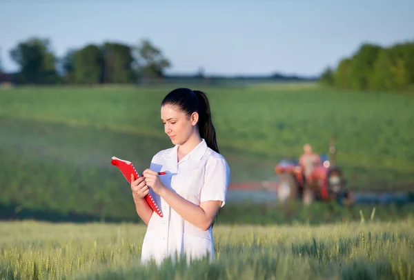 Agrónomo de pie en campo de trigo — Foto de Stock