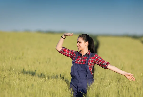 Farmář dívka v pšeničné pole — Stock fotografie