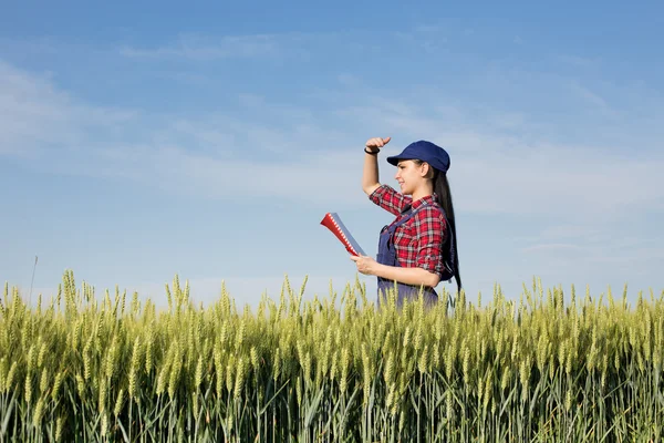 Γεωργός κορίτσι στο πεδίο σιτάρι — Φωτογραφία Αρχείου