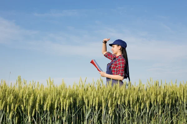 Fermière dans le champ de blé — Photo