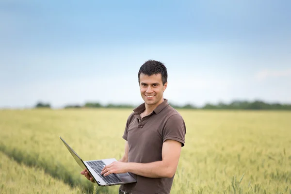 Фермер з ноутбуком у пшеничному полі — стокове фото