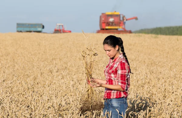 Ragazza contadina nel campo di grano — Foto Stock