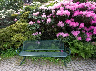 Bitkiler ve çiçekler önünde tezgah