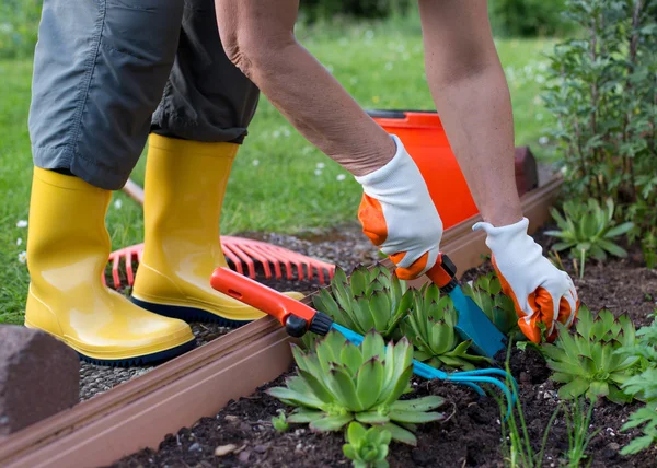 Woman working in garden with shovel and rake — Stock Photo, Image