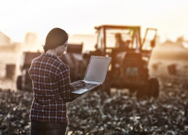 Dizüstü bilgisayar alanında kadınla