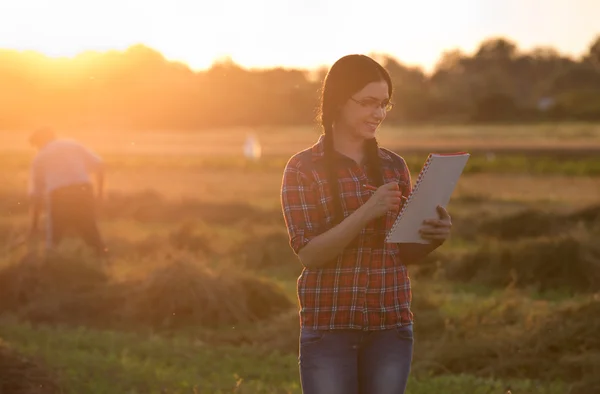 Chica granjera en el campo al atardecer —  Fotos de Stock