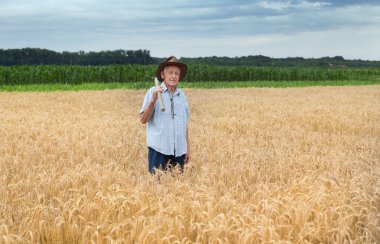 Altın arpa alanında üst düzey köylü
