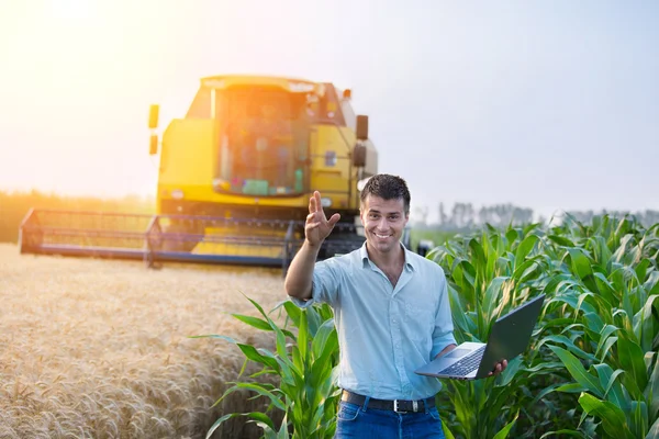 Agricultural engineer on wheat harvest — Stock Photo, Image