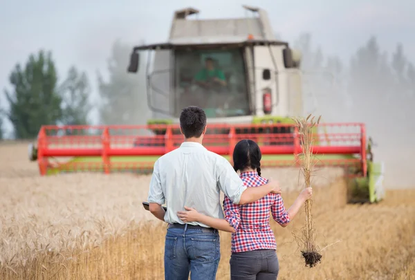 Menschen bei der Ernte — Stockfoto