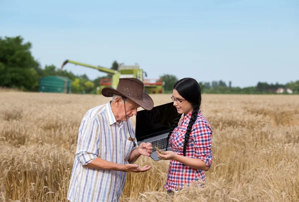 Menschen bei der Ernte — Stockfoto