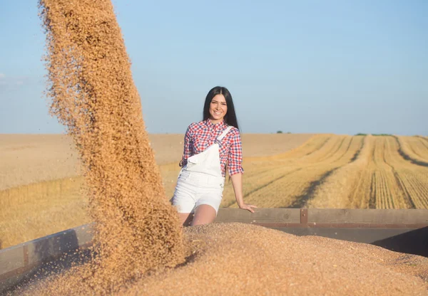 Chica en remolque durante la cosecha de trigo — Foto de Stock