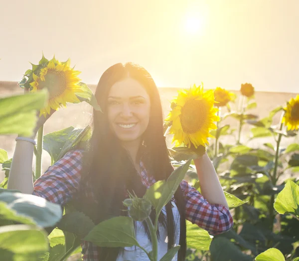Gadis di bidang bunga matahari — Stok Foto