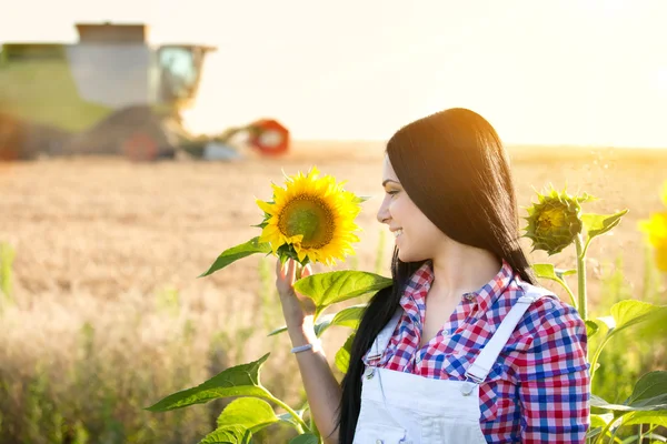 Mädchen im Sonnenblumenfeld — Stockfoto
