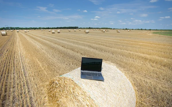 Laptop på rullade bale på fältet — Stockfoto
